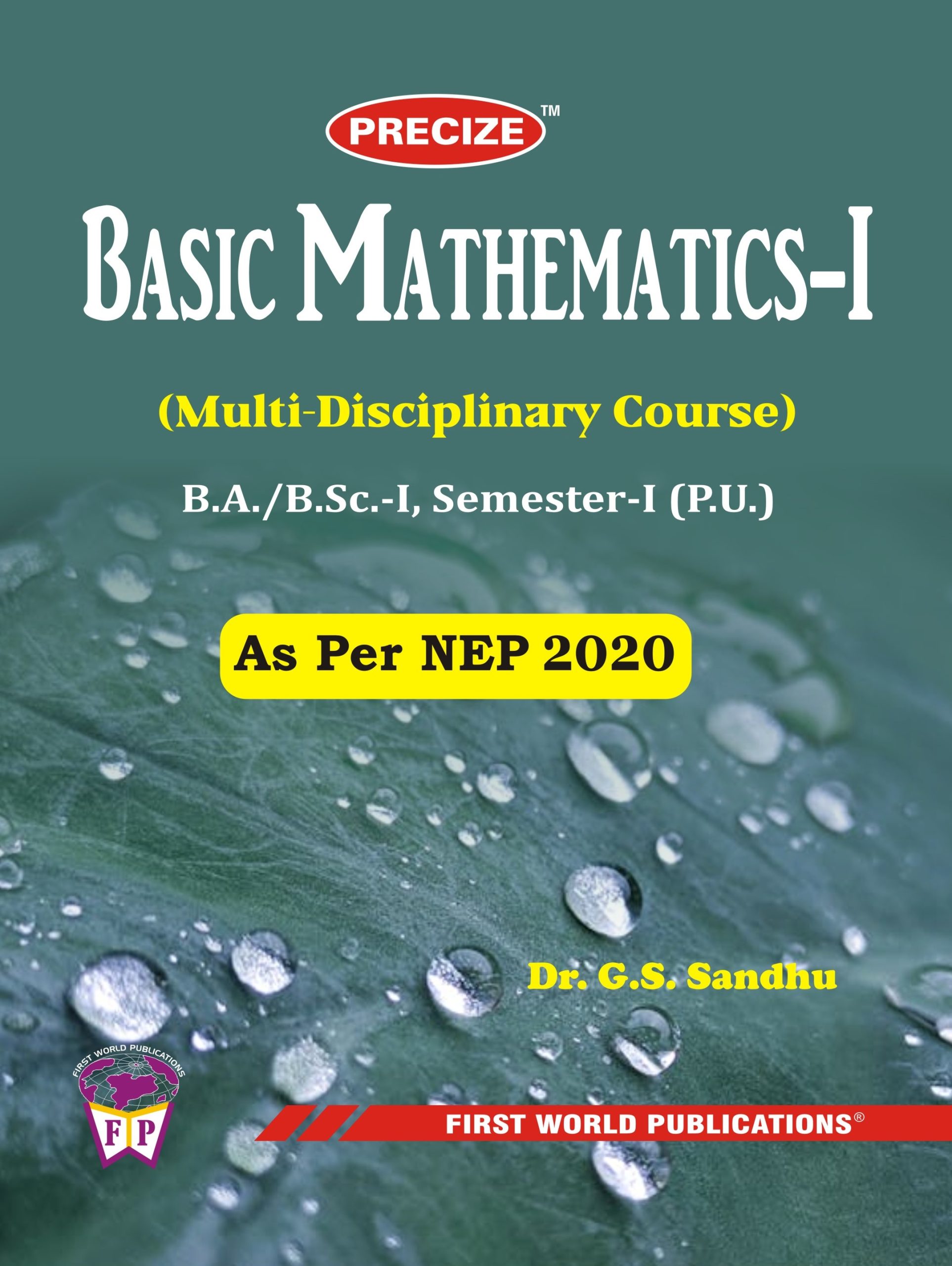 Pre Basic Mathematics P.U.